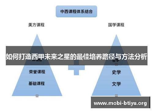 如何打造西甲未来之星的最佳培养路径与方法分析
