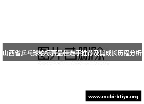 山西省乒乓球锦标赛最佳选手推荐及其成长历程分析