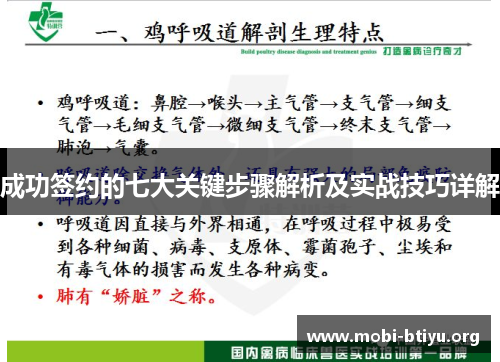 成功签约的七大关键步骤解析及实战技巧详解