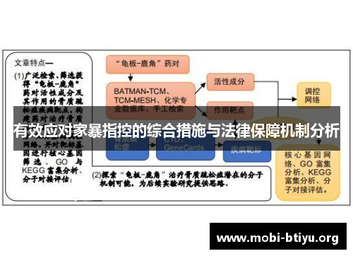 有效应对家暴指控的综合措施与法律保障机制分析