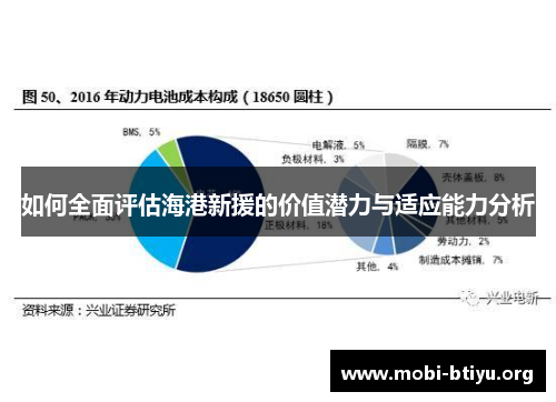 如何全面评估海港新援的价值潜力与适应能力分析