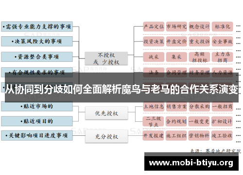 从协同到分歧如何全面解析魔鸟与老马的合作关系演变