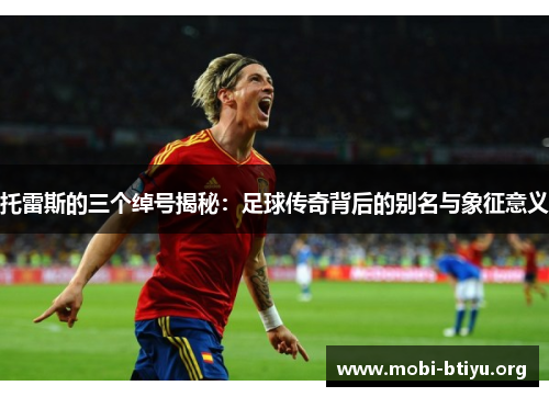 托雷斯的三个绰号揭秘:足球传奇背后的别名与象征意义 托雷斯的三个绰号揭秘:足球传奇背后的别名与象征意义